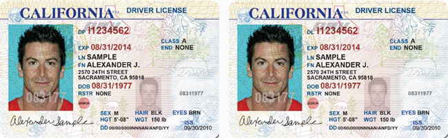 front and back california driver license